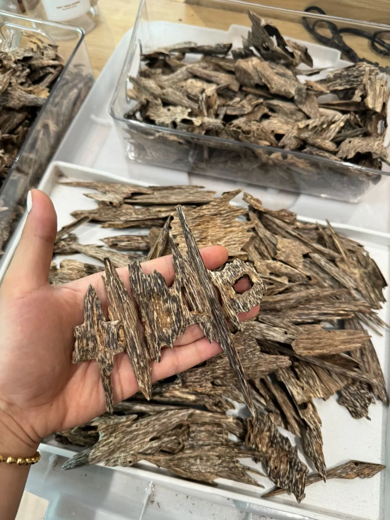 Premium Kien Agarwood Chips – Natural Vietnamese Oud for Burning &amp; Aroma Experience
